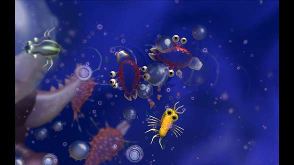 Spore Cell Stage